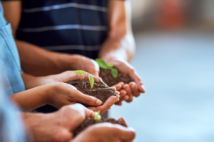 Seeds growing to their highest potential