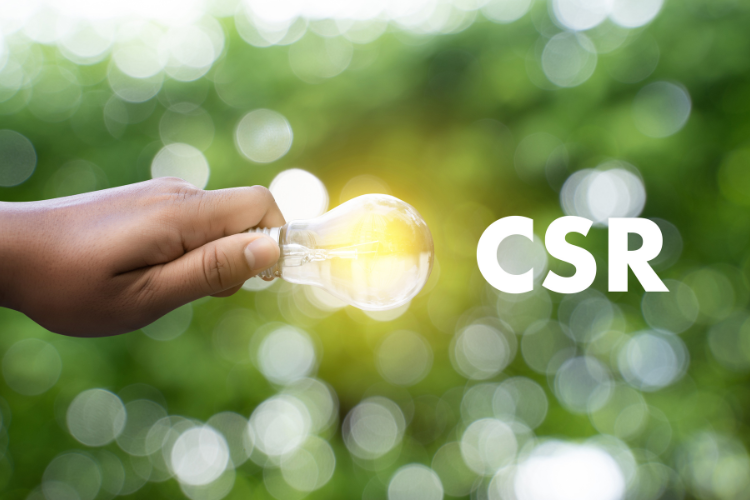 Lightbulb on a green, vegetal, background representing CSR